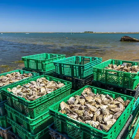 Yellow House Vakantiehuis *