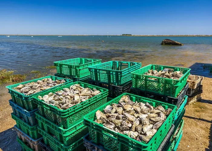 Yellow House Casa de Férias *